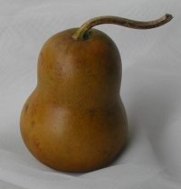 Pear I Holiday Gourd