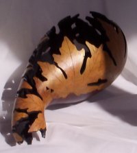 leaf gourd